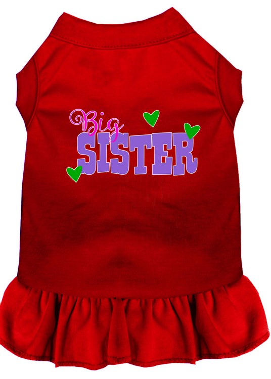 Big Sister Screen Print Dog Dress Red Med